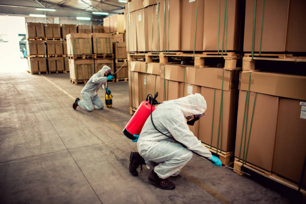 Best Local Pest Control Services  in Towamensing Trails, PA